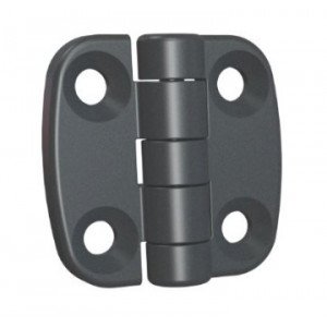 Charnière Acier Noire 60x60 Axe INOX